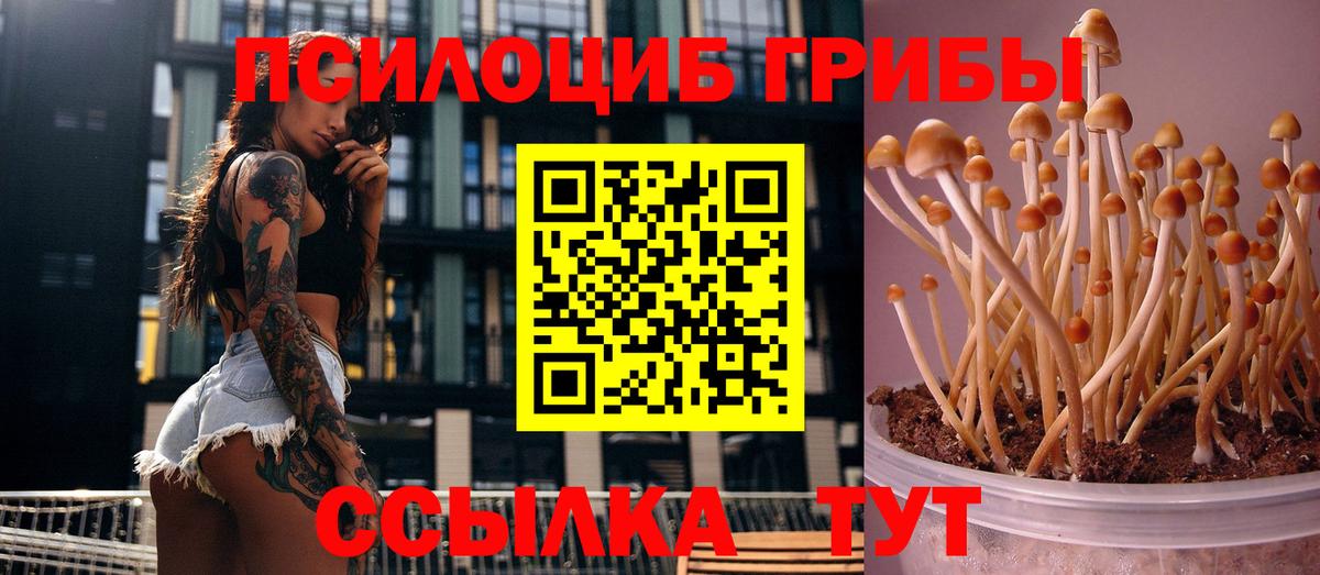 Галлюциногенные грибы ЛСД  как найти наркотики  Зеленокумск  Вход с VPN 